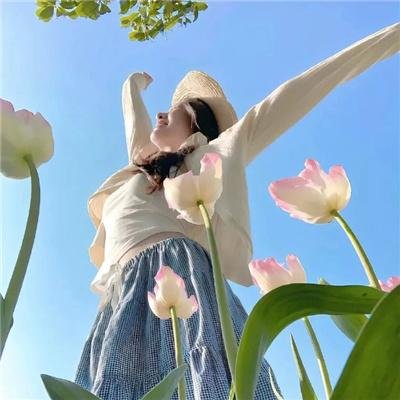 史酷比与世界摔角:速度恶魔的诅咒