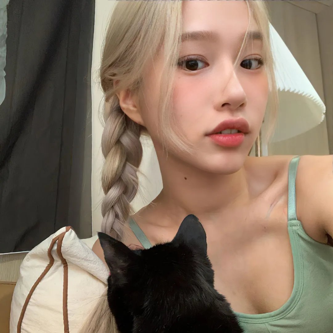 两只小猫的故事