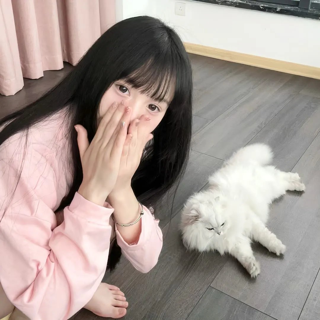 铁笼